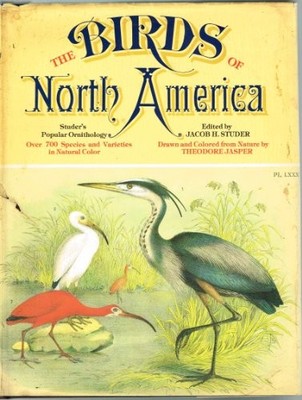 STUDER'S POPULAR ORNITHOLOGY: THE BIRDS OF NORTH AMERICA By Jacob Henry Studer