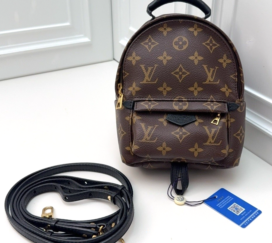 Louis Vuitton Palm Springs Monogram Backpack Women Brown
