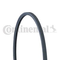 Keilrippenriemen Continental Ctam 2PJ800 FÜR Seat VW Poly V Riemen Rippenriemen
