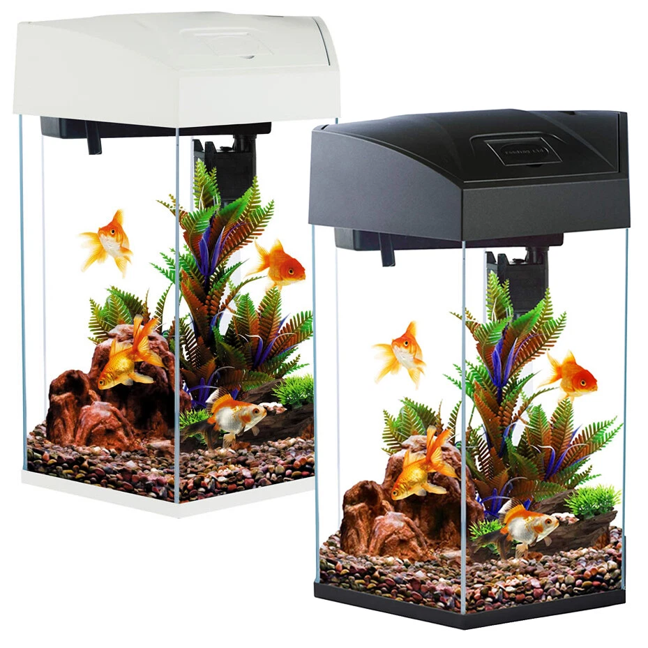 Funny Fish Tanks