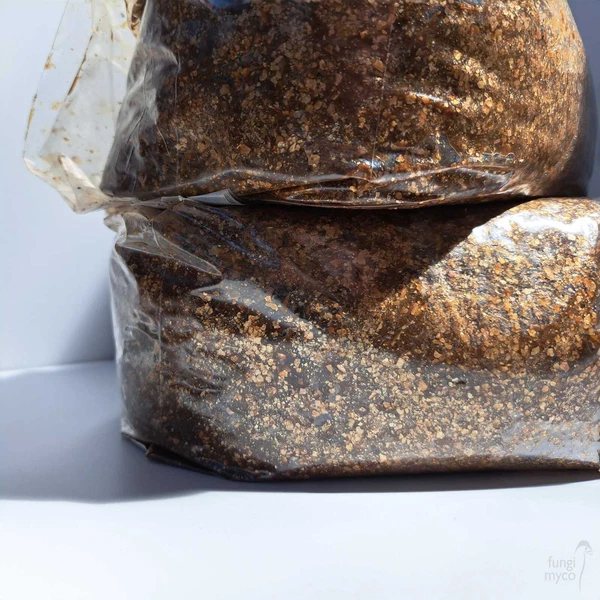 Horse Manure Substrate Pasteurised Sterilised Ready-to-Use Mushroom Cultivation