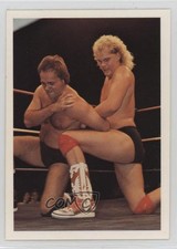 1988 Wonderama NWA Kendall Windham vs Larry Zbyszko #81 0w6