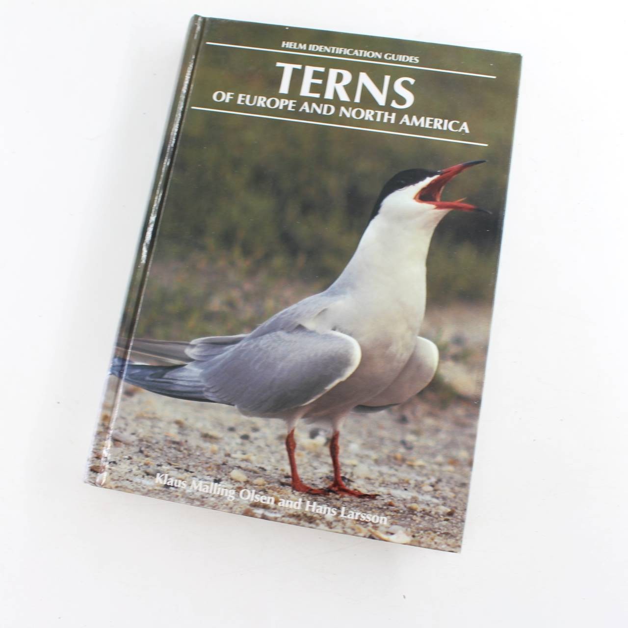 Terns of Europe and North America: Helm Identification Guides book by Hans Larss