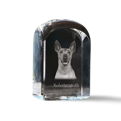 Mexican Hairless Dog, Xoloitzcuintli, Xolo, Tepeizeuintli - Crystal Cube With