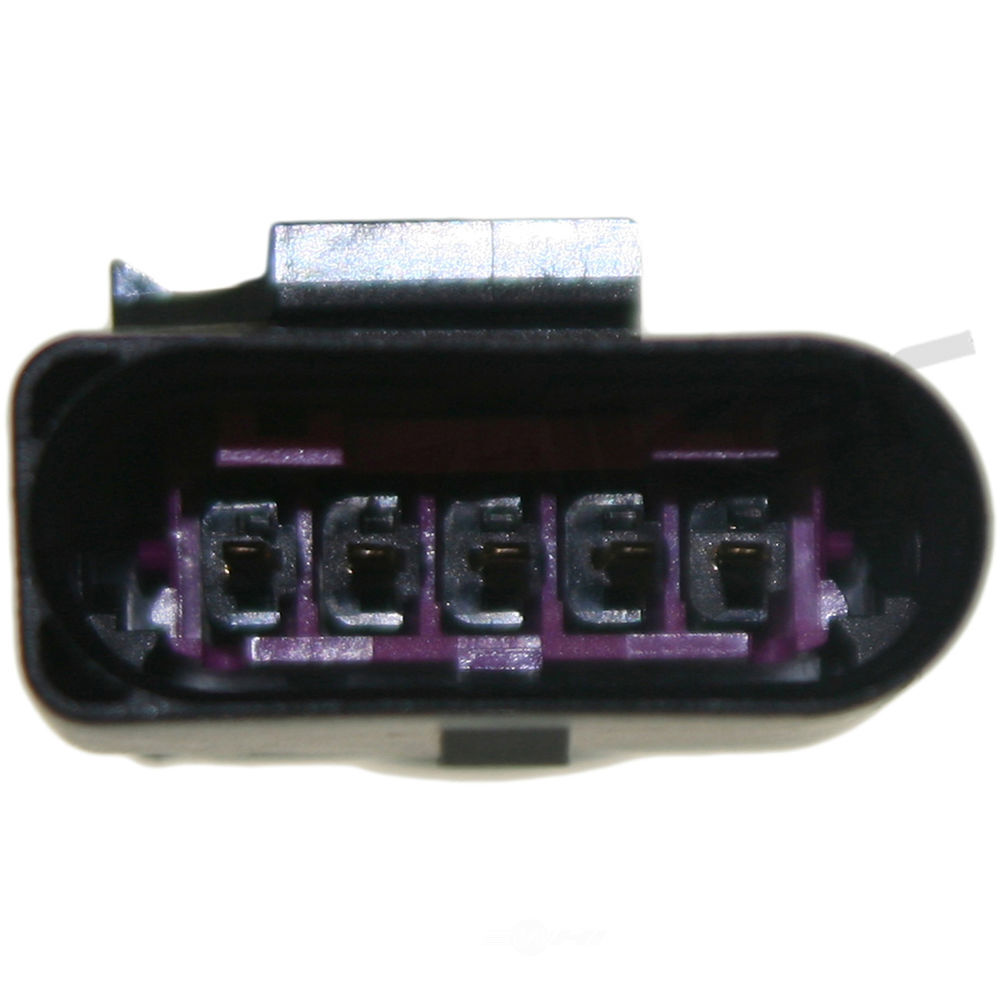 Picture 2