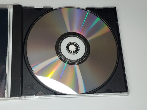 Vintage 1991 Red Hot Chili Peppers Blood Sex Sugar Magik Rock CD Anthony Kedis - Imagen 5 de 11
