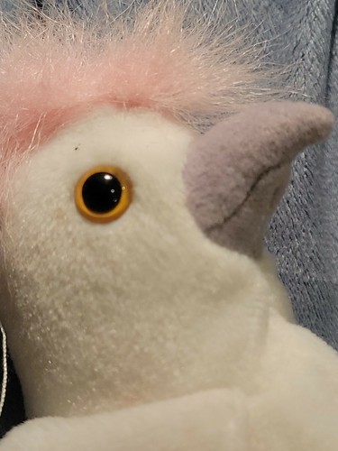 Ty Beanie Babies "KuKu" The Bird 1997 - Retired, Rare & Has Errors! - Picture 2 of 7