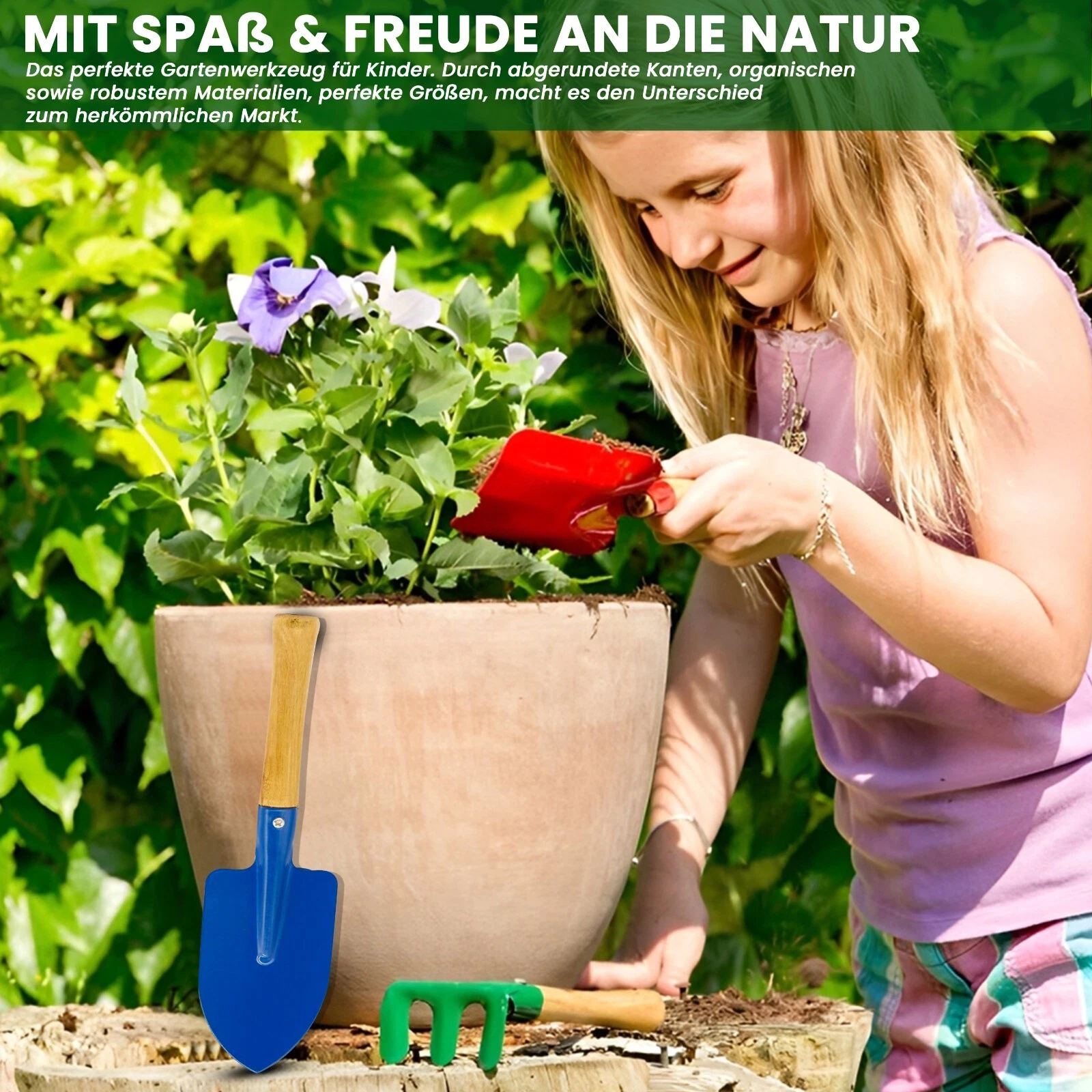 Bild 5 von 7