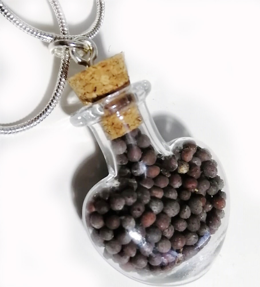 Mustard Seed Necklace Pendant from Galilee Israel - Faith Jewelry-image