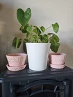 Beautiful Pink McCoy Vintage Pottery Set of 2 Flower Pots