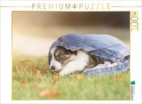 Calvendo Puzzle Border Collie Puppy In Jeans | 1000 Pieces, Finished Size 25.2 ×