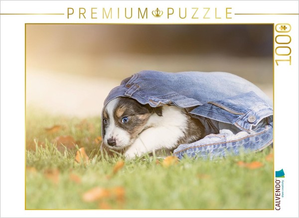 Calvendo Puzzle Border Collie Puppy In Jeans | 1000 Pieces, Finished Size 25.2 ×-image