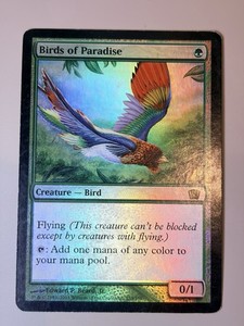 Birds of Paradise Foil 7th Edition | eBay
