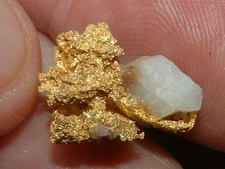 GOLD QUARTZ SPECIMEN 4.04 GRAMS CALIFORNIA POCKET GOLD