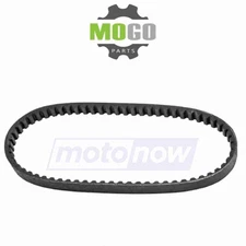Outside Distributing 11-0216 Drive Belt for Drive Drive Belts  xp