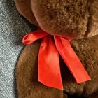 Bild 4 von 8