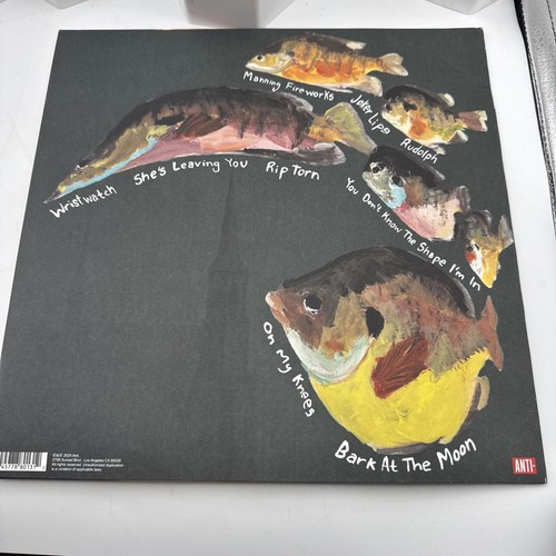 Mj Lenderman Manning Fireworks Lp 2024 (Vinyl) - Picture 6 of 24