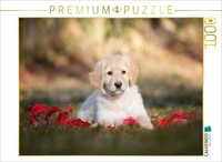 Calvendo Puzzle Hovawart Puppy | 1000 Pieces, Finished Size 25.2 × 18.9 In (64 ×