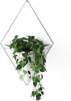 Umbra Trigg Hanging Planter White/Nickel