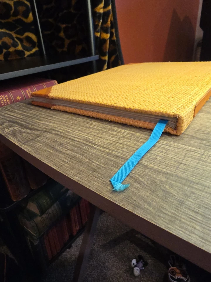 MY ISLAND by Ricky Lauren (Leather / Grasscloth Binding 1994, Very Good) Foto 3 de 4