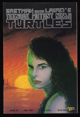 Teenage Mutant Ninja Turtles #28 - Michael Dooney Cover (9.2 ob) 1990