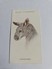 Cigarette card  wills -wild animals heads  - No 32 - free postage - lot  1082