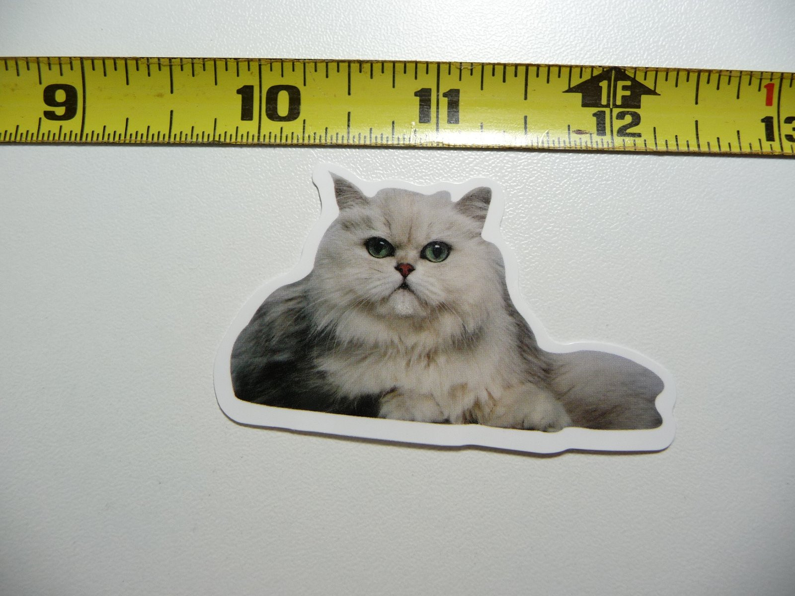 Finicky Posh Cat Decal Sticker for Feline Pet House or Kitten Room Decor