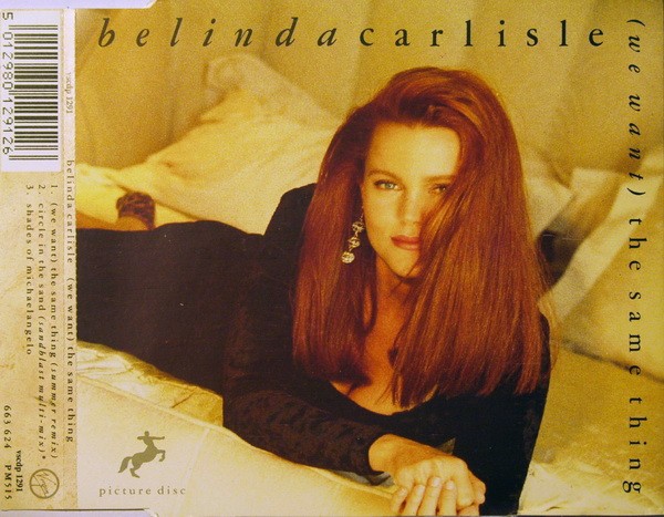 (CD1909) CD Single - Belinda Carlisle - (We Want) The Same Thing Picture Disc