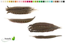 10 Fasanenfedern Natur Federn Fasan Schmuckfedern Bastelfedern Dekofedern Vogel