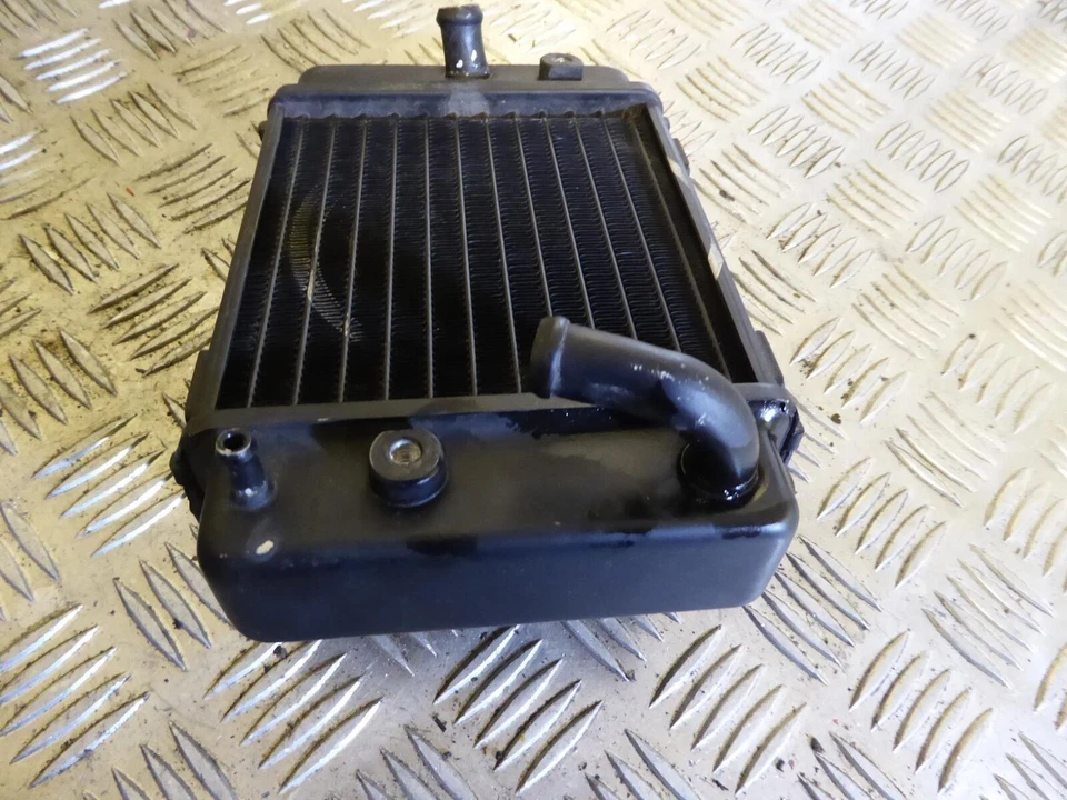 Radiador HMC LIGHTNING 125 ZS125GY 2016 Foto 3 de 4