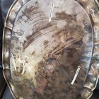 2000+ Grams Solid Sterling 1930s Sanborns Mexico Silver Large Scalloped Platter  — photo 8