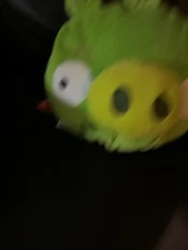 Angry Birds Green Pig Plush Stuffed Animal No Sound 10" Jay Franco Sewn Eyes
