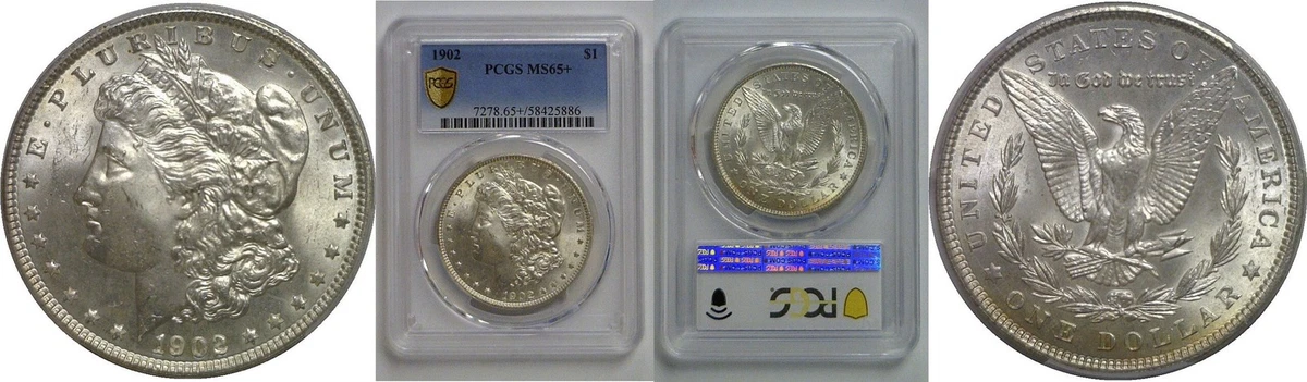 1902 Year Grade MS 65 Morgan Dollars (1878-1921) for sale | eBay