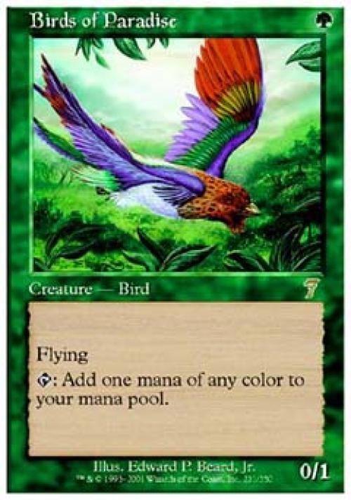 MTG English Birds of Paradise NM Foil 7th Edition