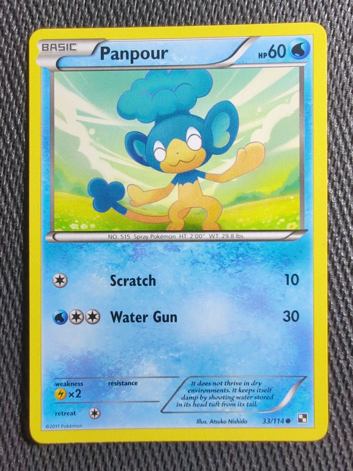 Pokémon TCG Panpour Black and White 33/114 Regular Common