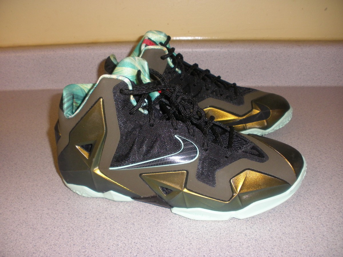 lebron 11 grade school