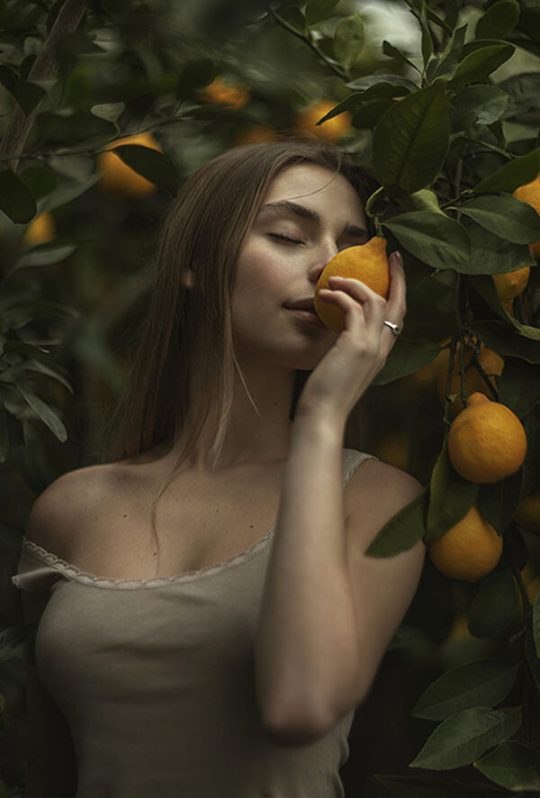 Lemons 24