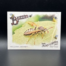 Yellow Jacket 2024 Topps Allen & Ginter Buzzin #BUZ-13