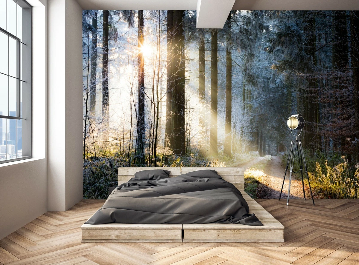 Sunbeam In The Forest Photo Wallpaper Wall Mural WALL DECOR Bedroom  7446254030098 | eBay