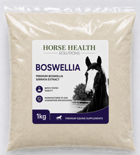 Boswellia Serrata Powder (Frankincense) Pain Relief, Equine Herb For Horses