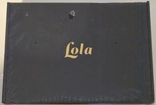 Lola Smart Digital Picture Frame 8 Inch