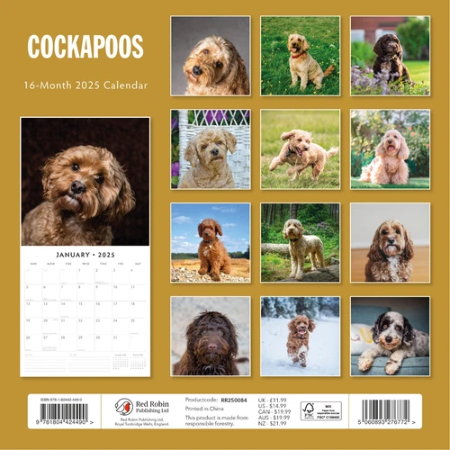 Cockapoos 2025 Square Wall Calendar