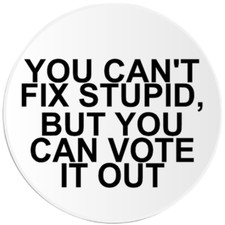You Can't Fix Stupid But You Can Vote It Out - 3 Pack Circle Stickers 3 Inch