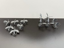 Chaotic Beasts Warcry 6 Furies 6 Raptoryx Warhammer Age Of Sigmar Chaos