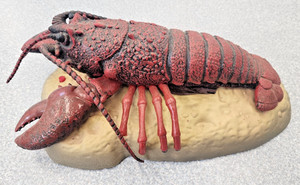 Gemmy Rocky The Singing Lobster Fully Working