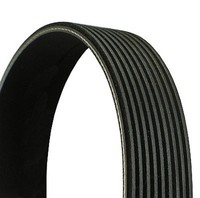 Keilrippenriemen Continental Ctam 9PK2835 FüR Actros MP2 Mercedes MP3