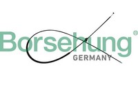 Motorhaubenzug Borsehung B10780 FüR Audi Q3 8UB 8UG Tfsi Tsi Tdi Quattro