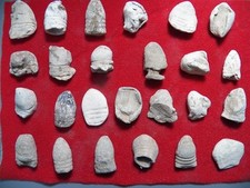 Mix Of 25 Dug Fired US & CS Civil War Bullets