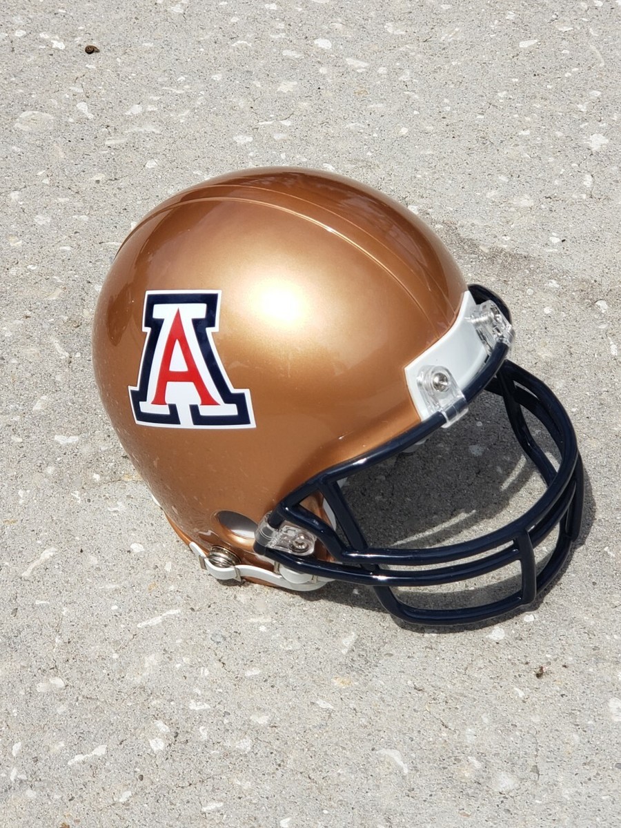 アメフトアメリカ大学ヘルメットノースウェスタンワイルドキャッツレプリカ Amazon.co.jp: Schutt(シュット) フットボール ヘルメット F7