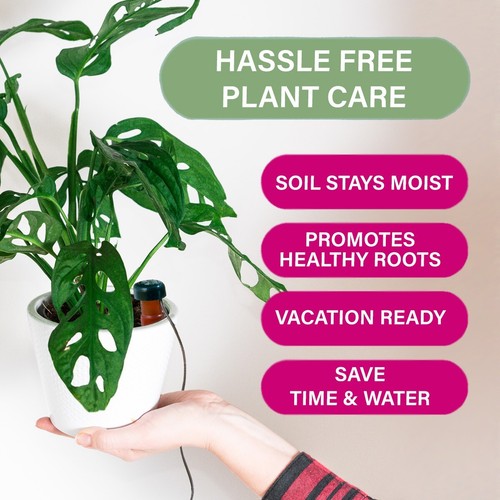 Blumat Classic Watering Plant Stake (12 Pack) Automatic Drip Watering